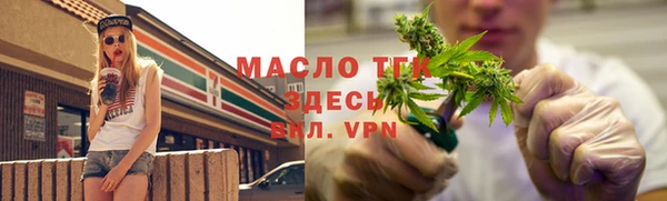 твердый Верхний Тагил