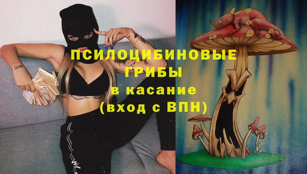 твердый Верхний Тагил