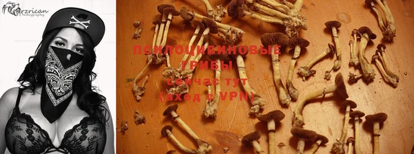 спайс Струнино