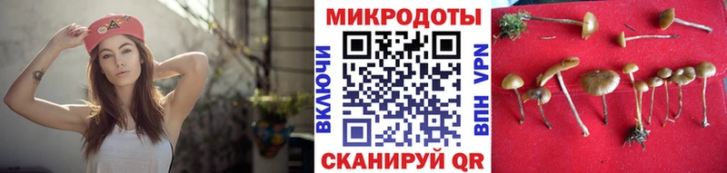 ссылка на мегу ТОР  где продают   Семёнов  Галлюциногенные грибы мицелий 