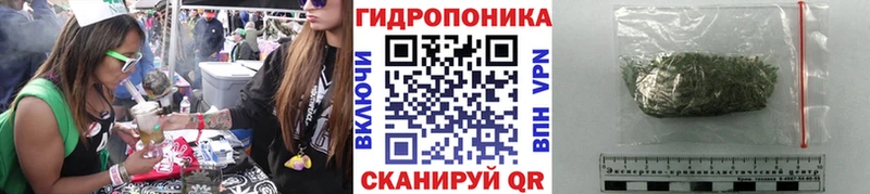 Бошки марихуана планчик Семёнов